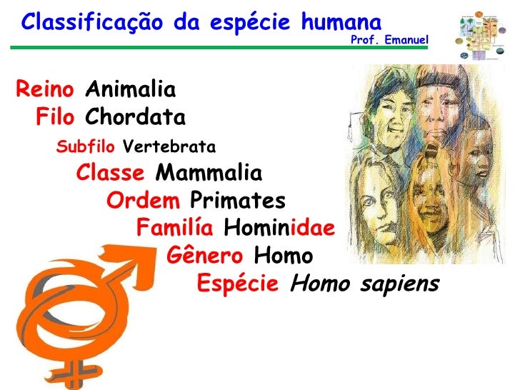 Taxonomia