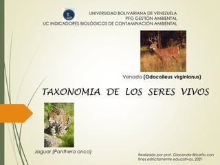 UNIVERSIDAD BOLIVARIANA DE VENEZUELA
PFG GESTIÓN AMBIENTAL
UC INDICADORES BIOLÓGICOS DE CONTAMINACIÓN AMBIENTAL
TAXONOMIA DE LOS SERES VIVOS
Realizado por prof. Gioconda Briceño con
fines estrictamente educativos. 2021
Jaguar (Panthera onca)
Venado (Odocoileus virginianus)
 
