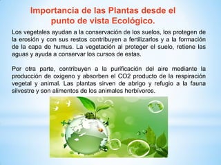 Importancia de las Plantas desde el
punto de vista Ecológico.
Los vegetales ayudan a la conservación de los suelos, los protegen de
la erosión y con sus restos contribuyen a fertilizarlos y a la formación
de la capa de humus. La vegetación al proteger el suelo, retiene las
aguas y ayuda a conservar los cursos de estas.
Por otra parte, contribuyen a la purificación del aire mediante la
producción de oxigeno y absorben el CO2 producto de la respiración
vegetal y animal. Las plantas sirven de abrigo y refugio a la fauna
silvestre y son alimentos de los animales herbívoros.
 