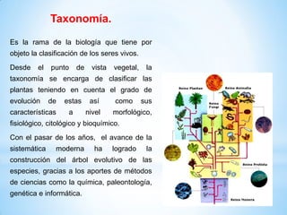 Taxonomía.
Es la rama de la biología que tiene por
objeto la clasificación de los seres vivos.
Desde el punto de vista vegetal, la
taxonomía se encarga de clasificar las
plantas teniendo en cuenta el grado de
evolución de estas así como sus
características a nivel morfológico,
fisiológico, citológico y bioquímico.
Con el pasar de los años, el avance de la
sistemática moderna ha logrado la
construcción del árbol evolutivo de las
especies, gracias a los aportes de métodos
de ciencias como la química, paleontología,
genética e informática.
 