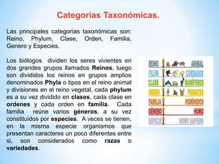 Categorías Taxonómicas.
Las principales categorías taxonómicas son:
Reino, Phylum, Clase, Orden, Familia,
Genero y Especies.
Los biólogos dividen los seres vivientes en
dos grandes grupos llamados Reinos, luego
son divididos los reinos en grupos amplios
denominados Phyla o tipos en el reino animal
y divisiones en el reino vegetal, cada phylum
es a su vez dividido en clases, cada clase en
ordenes y cada orden en familia. Cada
familia reúne varios géneros, a su vez
constituidos por especies. A veces se tienen,
en la misma especie organismos que
presentan caracteres un poco diferentes entre
si, son considerados como razas o
variedades.
 