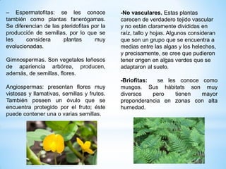 – Espermatofitas: se les conoce
también como plantas fanerógamas.
Se diferencian de las pteridofitas por la
producción de semillas, por lo que se
les considera plantas muy
evolucionadas.
Gimnospermas. Son vegetales leñosos
de apariencia arbórea, producen,
además, de semillas, flores.
Angiospermas: presentan flores muy
vistosas y llamativas, semillas y frutos.
También poseen un óvulo que se
encuentra protegido por el fruto; éste
puede contener una o varias semillas.
-No vasculares. Estas plantas
carecen de verdadero tejido vascular
y no están claramente divididas en
raíz, tallo y hojas. Algunos consideran
que son un grupo que se encuentra a
medias entre las algas y los helechos,
y precisamente, se cree que pudieron
tener origen en algas verdes que se
adaptaron al suelo.
-Briofitas: se les conoce como
musgos. Sus hábitats son muy
diversos pero tienen mayor
preponderancia en zonas con alta
humedad.
 