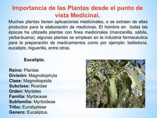 Importancia de las Plantas desde el punto de
vista Medicinal.
Muchas plantas tienen aplicaciones medicinales, o se extraen de ellas
productos para la elaboración de medicinas. El hombre en todas las
épocas ha utilizado plantas con fines medicinales (manzanilla, sábila,
yerba-buena), algunas plantas se emplean en la industria farmacéutica
para la preparación de medicamentos como por ejemplo: belladona,
eucalipto, higuerilla, entre otras.
Eucalipto.
Reino: Plantae
División: Magnoliophyta
Clase: Magnoliopsida
Subclase: Rosidae
Orden: Myrtales
Familia: Myrtaceae
Subfamilia: Myrtoideae
Tribu: Eucalypteae
Genero: Eucaliptus.
 