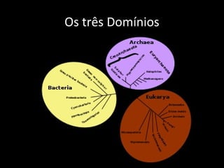 Os três Domínios