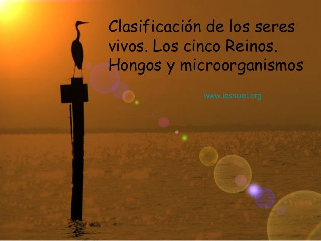 https://www.slideshare.net/pepe.moranco/taxonomia-y-cincoreinos?ref=http://naturaleseso1.blogspot.com.es/search?updated-max=2017-04-04T16:06:00%2B02:00&max-results=17