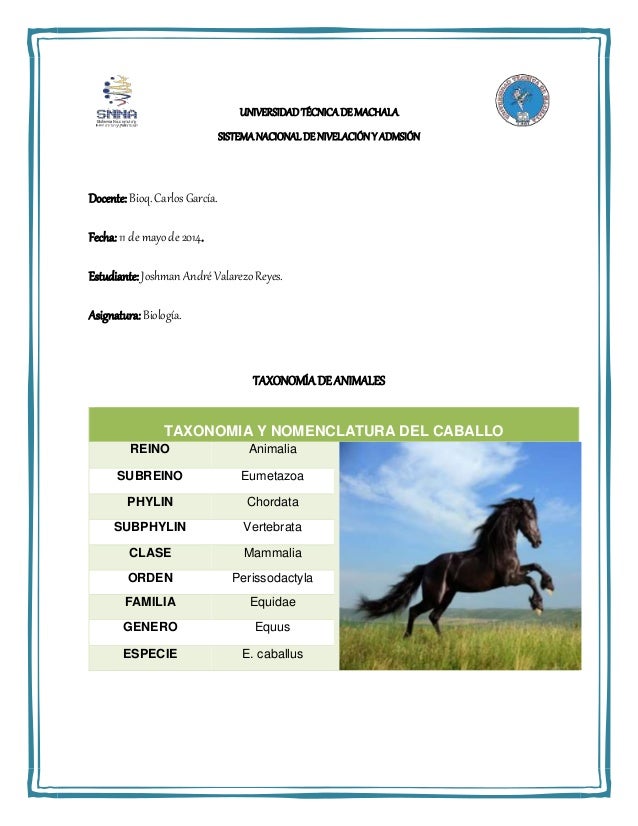 Taxonomia Y Nomenclatura de los animales y las plantas