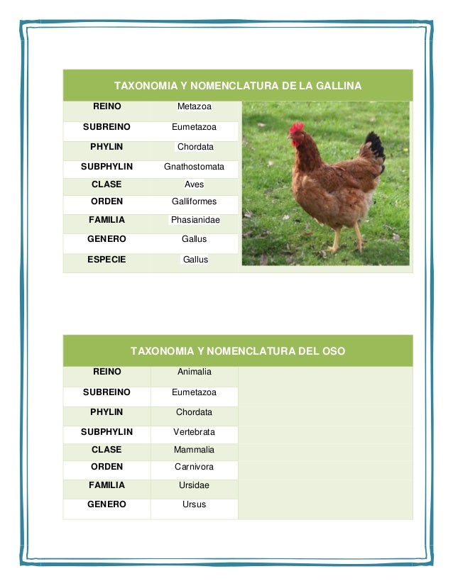 Taxonomia Y Nomenclatura de los animales y las plantas