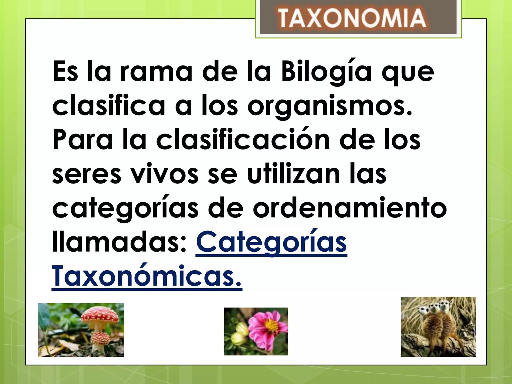 Es la rama de la Bilogía que
clasifica a los organismos.
Para la clasificación de los
seres vivos se utilizan las
categorías de ordenamiento
llamadas: Categorías
Taxonómicas.
 