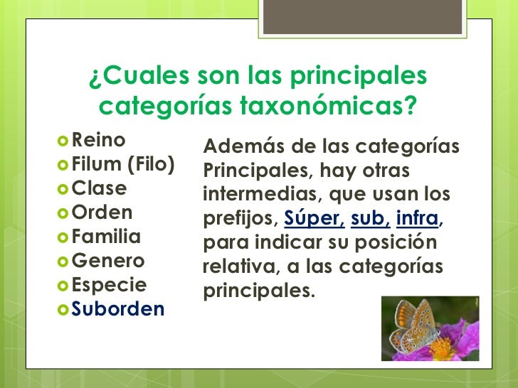 Taxonomia y sistematica