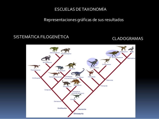 Cladistica