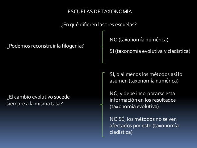Taxonomia y sistematica