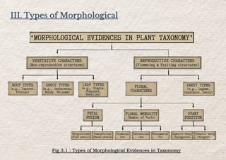 III. Types of Morphological
Fig 3.1 : Types of Morphological Evidences in Taxonomy
 