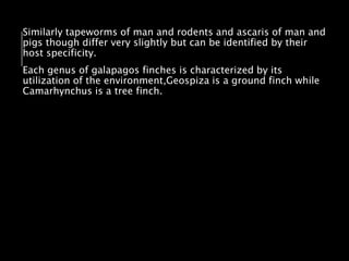 Similarly tapeworms of man and rodents and ascaris of man and
pigs though differ very slightly but can be identified by their
host specificity.
Each genus of galapagos finches is characterized by its
utilization of the environment,Geospiza is a ground finch while
Camarhynchus is a tree finch.
 