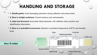 taxonomic collection..........................pptx