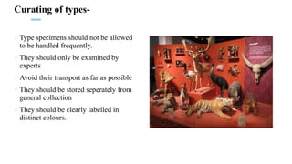 Taxonomic collection methods,preservation methods ,types of collection ...