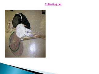 Collecting net
 