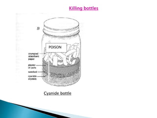 Killing bottles
Cyanide bottle
POISON
 