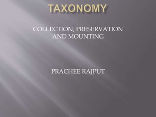 COLLECTION, PRESERVATION
AND MOUNTING
PRACHEE RAJPUT
 