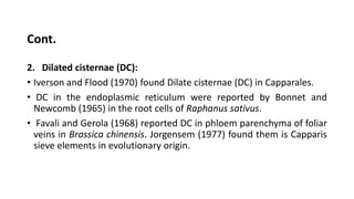 2. Dilated cisternae (DC):
• Iverson and Flood (1970) found Dilate cisternae (DC) in Capparales.
• DC in the endoplasmic reticulum were reported by Bonnet and
Newcomb (1965) in the root cells of Raphanus sativus.
• Favali and Gerola (1968) reported DC in phloem parenchyma of foliar
veins in Brassica chinensis. Jorgensem (1977) found them is Capparis
sieve elements in evolutionary origin.
Cont.
 