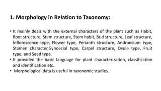 1. Morphology in Relation to Taxonomy:
• It mainly deals with the external characters of the plant such as Habit,
Root structure, Stem structure, Stem habit, Bud structure, Leaf structure,
Inflorescence type, Flower type, Perianth structure, Androecium type,
Stamen character,Gynoecial type, Carpel structure, Ovule type, Fruit
type, and Seed type.
• It provided the basic language for plant characterization, classification
and identification etc.
• Morphological data is useful in taxonomic studies.
 