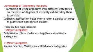 Advantages of Taxonomic hierarchy
1)Grouping of living organisms into different categories
on the basis of degrees of diversity exhibited by them
is possible.
2)Such classification helps one to refer a particular group
of plants into appropriate classes.
There are two main categories
1)Major Categories-
Subdivision, Class, Order are together called Major
categories
2) Minor Categories-
Genus, Species, Variety are called Minor categories
 