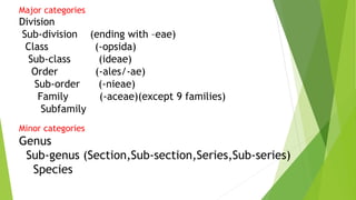 Major categories
Division
Sub-division (ending with –eae)
Class (-opsida)
Sub-class (ideae)
Order (-ales/-ae)
Sub-order (-nieae)
Family (-aceae)(except 9 families)
Subfamily
Minor categories
Genus
Sub-genus (Section,Sub-section,Series,Sub-series)
Species
 