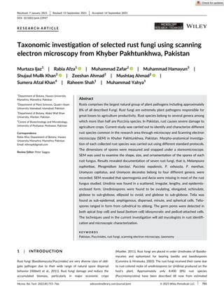 R E S E A R C H A R T I C L E
Taxonomic investigation of selected rust fungi using scanning
electron microscopy from Khyber Pakhtunkhwa, Pakistan
Murtaza Ijaz1
| Rabia Afza1
| Muhammad Zafar2
| Muhammad Hamayun3
|
Shujaul Mullk Khan2
| Zeeshan Ahmad2
| Mushtaq Ahmad2
|
Sumera Afzal Khan4
| Raheem Shah1
| Muhammad Yahya1
1
Department of Botany, Hazara University
Mansehra, Mansehra, Pakistan
2
Department of Plant Sciences, Quaid-i-Azam
University Islamabad, Islamabad, Pakistan
3
Department of Botany, Abdul Wali Khan
University, Mardan, Pakistan
4
Centre of Biotechnology and Microbiology,
University of Peshawar, Peshawar, Pakistan
Correspondence
Rabia Afza, Department of Botany, Hazara
University Mansehra, Mansehra, Pakistan.
Email: ethnopk@gmail.com
Review Editor: Peter Saggau
Abstract
Rusts comprises the largest natural group of plant pathogens including approximately
8% of all described Fungi. Rust fungi are extremely plant pathogens responsible for
great losses to agriculture productivity. Rust species belong to several genera among
which more than half are Puccinia species. In Pakistan, rust causes severe damage to
agriculture crops. Current study was carried out to identify and characterize different
rust species common in the research area through microscopy and Scanning electron
microscopy (SEM) in Khyber Pakhtunkhwa, Pakistan. Morpho-anatomical investiga-
tion of each collected rust species was carried out using different standard protocols.
The dimensions of spores were measured and snapped under a stereomicroscope.
SEM was used to examine the shape, size, and ornamentation of the spores of each
rust fungus. Results revealed documentation of seven rust fungi, that is, Melampsora
euphorbiae, Phragmidium barclayi, Puccinia nepalensis, P. exhausta, P. menthae,
Uromyces capitatus, and Uromyces decorates belong to four different genera, were
recorded. SEM revealed that spermogonia and Aecia were missing in most of the rust
fungus studied. Uredinia was found in a scattered, irregular, lengthy, and epidermis-
enclosed form. Urediniospores were found to be ovulating, elongated, echinulate,
globose to sub-globose, ellipsoid to ovoid, and globose to sub-globose. Telia was
found as sub-epidermal, amphigenous, dispersed, minute, and spherical cells. Telio-
spores ranged in form from cylindrical to oblong. The germ pores were detected in
both apical (top cell) and basal (bottom cell) idiosyncratic and pedicel-attached cells.
The techniques used in the current investigation will aid mycologists in rust identifi-
cation and microscopic characterization.
K E Y W O R D S
Pakistan, Pucciniales, rust fungi, scanning electron microscopy, taxonomy
1 | INTRODUCTION
Rust fungi (Basidiomycota/Pucciniales) are very diverse class of obli-
gate pathogen due to their wide range of natural spore dispersal
behavior (Hibbett et al., 2011). Rust fungi damage and reduce the
accumulated biomass, particularly in major economic crops
(Mueller, 2011). Rust fungi are placed in order Uredinales of Basidio-
mycetes and epitomized for bearing basidia and basidiospores
(Cummins & Hiratsuka, 2003). The rust fungi received their name due
to rust-colored mobs of urediniospores (or Uridinia) produced on the
host's plant. Approximately only 8,400 (8%) rust species
(Pucciniomycotina) have been described till now from estimated
Received: 7 January 2021 Revised: 13 September 2021 Accepted: 14 September 2021
DOI: 10.1002/jemt.23947
Microsc Res Tech. 2022;85:755–766. wileyonlinelibrary.com/journal/jemt © 2021 Wiley Periodicals LLC. 755
 