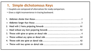 1. Simple dichotomous Keys
• Couplets are composed of alternatives for ready comparison.
• Gives a slight inconvenience in tracing backward.
 