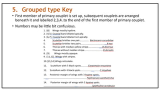 5. Grouped type Key
• First member of primary couplet is set up, subsequent couplets are arranged
beneath it and labelled 2,3,4..to the end of the first member of primary couplet.
• Numbers may be little bit confusious.
 