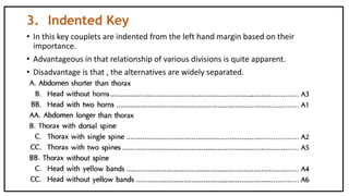 3. Indented Key
• In this key couplets are indented from the left hand margin based on their
importance.
• Advantageous in...