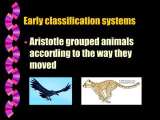 Early classification systems
 Aristotle grouped animals
according to the way they
moved
 