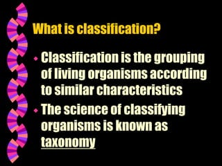 Taxonomic and Hierarchial Key Powerpoint.ppt