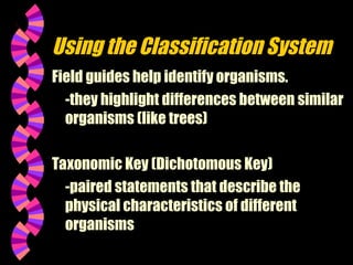 Comprehensive Guide to Classification of Living Organisms and Taxonomy ...