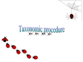 Taxonomic procedure 