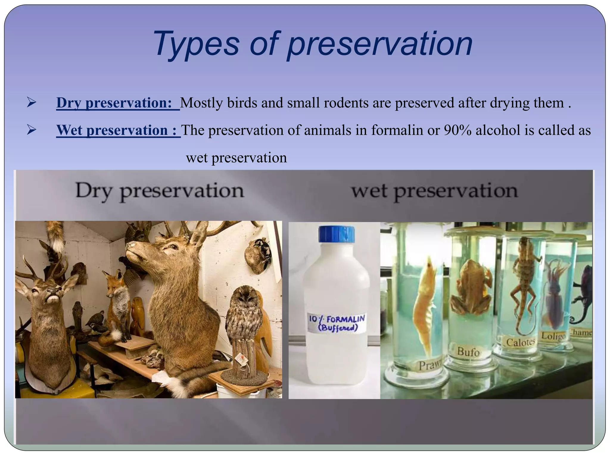 Types of preservation
 Dry preservation: Mostly birds and small rodents are preserved after drying them .
 Wet preservation : The preservation of animals in formalin or 90% alcohol is called as
wet preservation
 