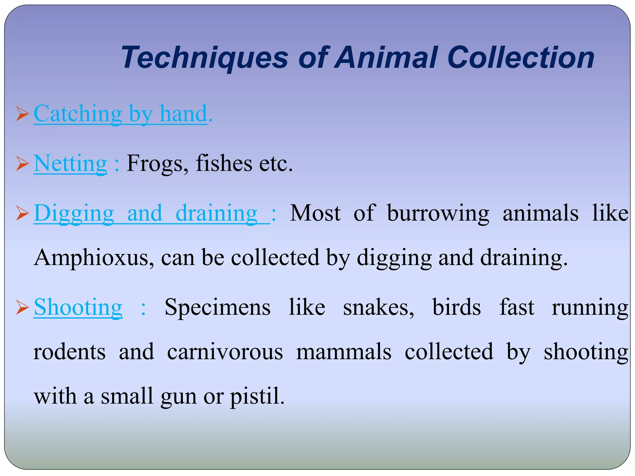 Techniques of Animal Collection
Catching by hand.
Netting : Frogs, fishes etc.
Digging and draining : Most of burrowing animals like
Amphioxus, can be collected by digging and draining.
Shooting : Specimens like snakes, birds fast running
rodents and carnivorous mammals collected by shooting
with a small gun or pistil.
 