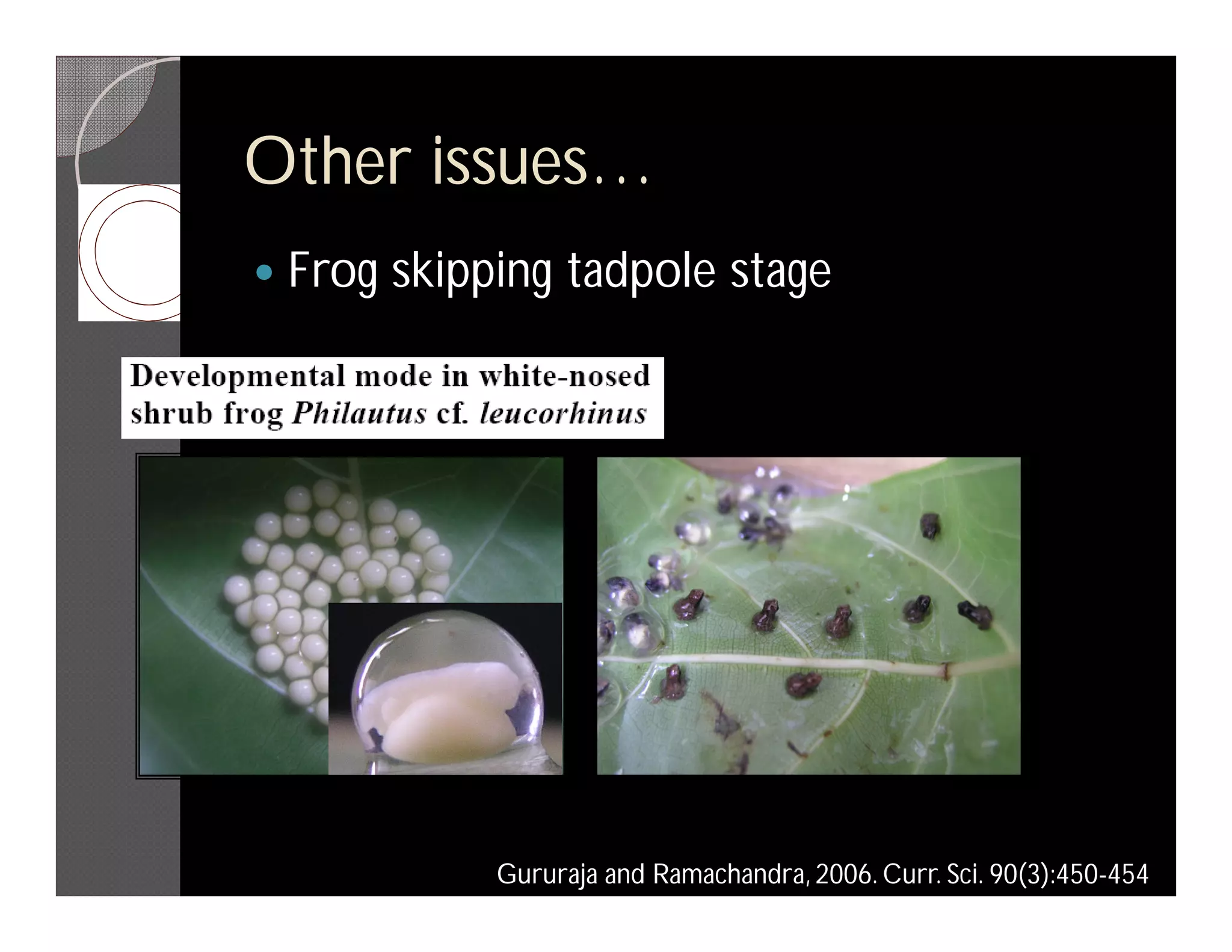 Other issues…
   Frog skipping tadpole stage




              Gururaja and Ramachandra, 2006. Curr. Sci. 90(3):450-454
 