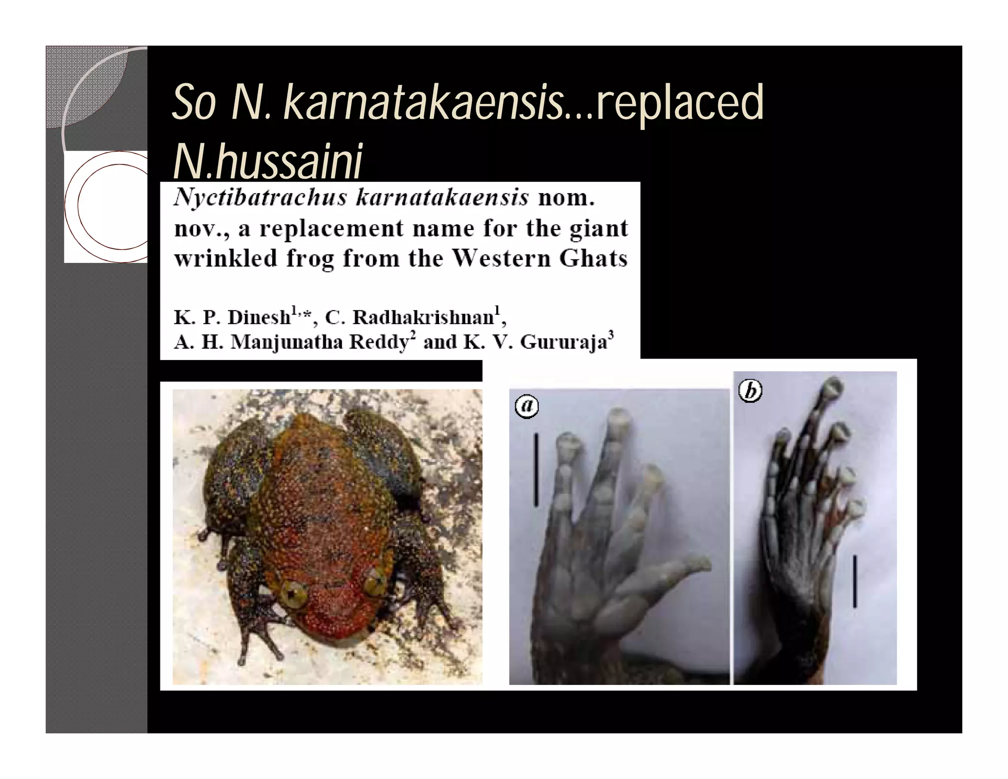 So N. karnatakaensis...replaced
      karnatakaensis...replaced
N.hussaini
 