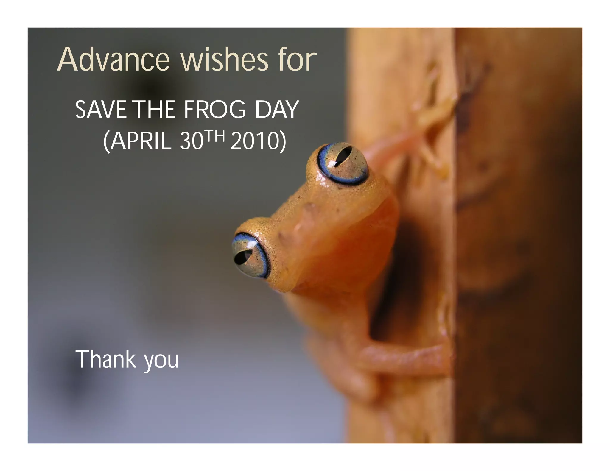 Advance wishes for
 SAVE THE FROG DAY
   (APRIL 30TH 2010)




 Thank you
 
