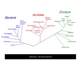 Taxonomy:  The three domains 