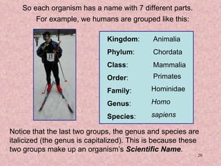So each organism has a name with 7 different parts. Notice that the last two groups, the genus and species are italicized (the genus is capitalized). This is because these two groups make up an organism’s  Scientific Name .  For example, we humans are grouped like this: sapiens Animalia Chordata Mammalia Primates Hominidae Homo Kingdom : Phylum : Class : Order : Family : Genus : Species : 