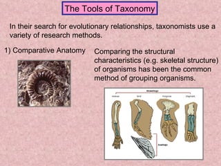 The Tools of Taxonomy In their search for evolutionary relationships, taxonomists use a variety of research methods. 1) Comparative Anatomy Comparing the structural characteristics (e.g. skeletal structure) of organisms has been the common method of grouping organisms. 