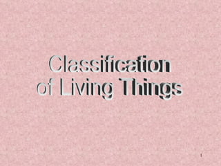 Classification  of Living Things 