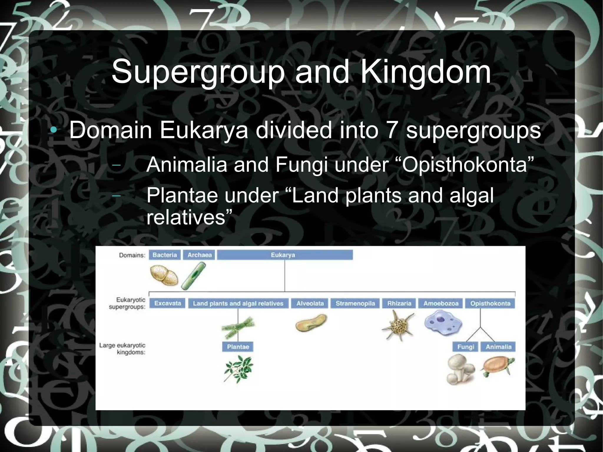 Supergroup and Kingdom Domain Eukarya divided into 7 supergroups Animalia and Fungi under “Opisthokonta” Plantae under “Land plants and algal relatives”