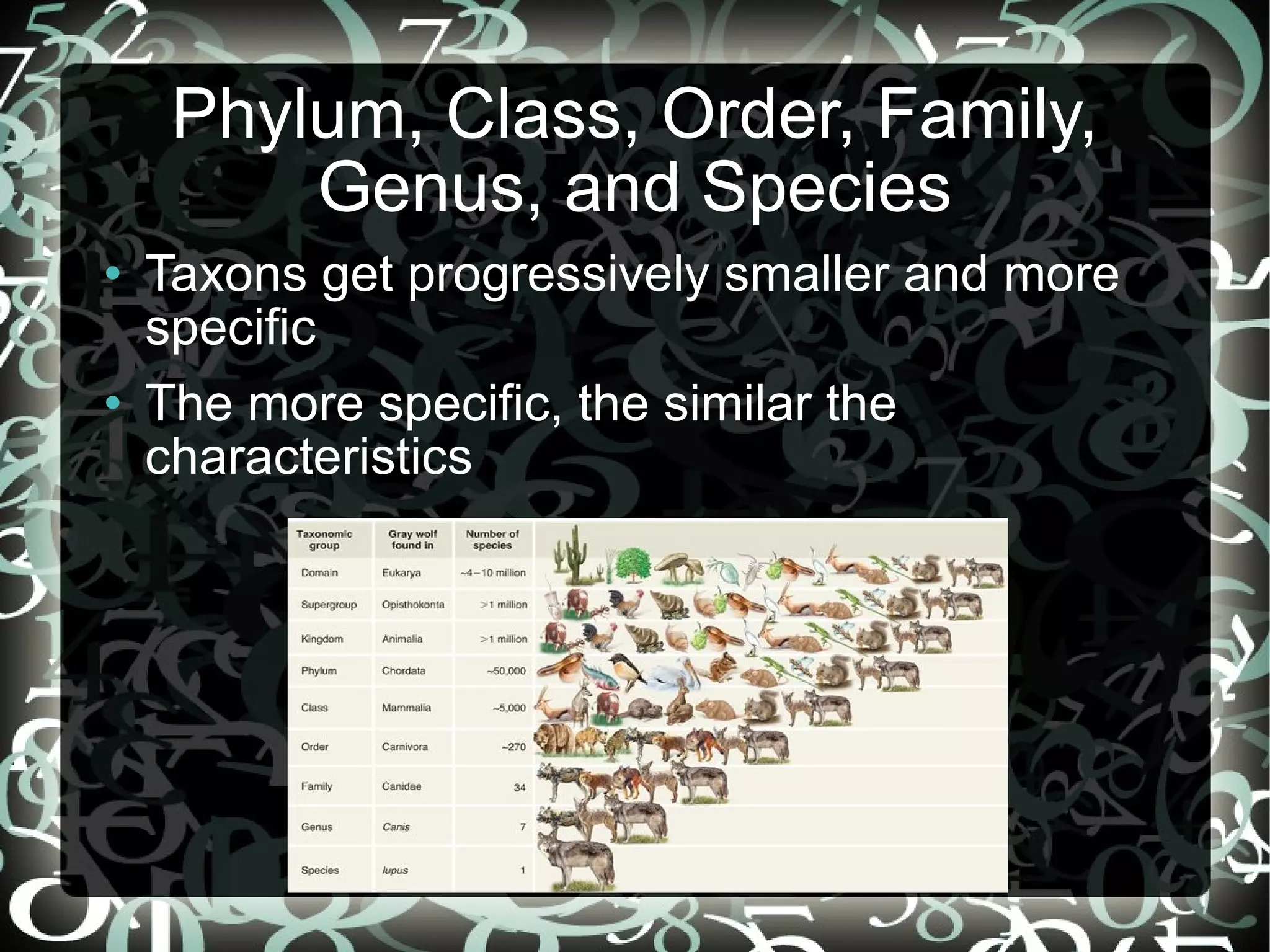 Phylum, Class, Order, Family, Genus, and Species Taxons get progressively smaller and more specific The more specific, the similar the characteristics