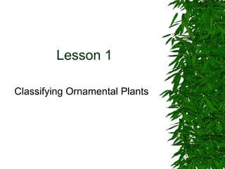 Lesson 1 Classifying Ornamental Plants 