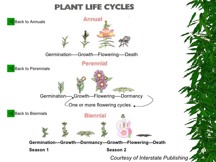Taxonomy Taxonomy