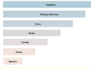 Section 1 Categories of Biological Classification 
