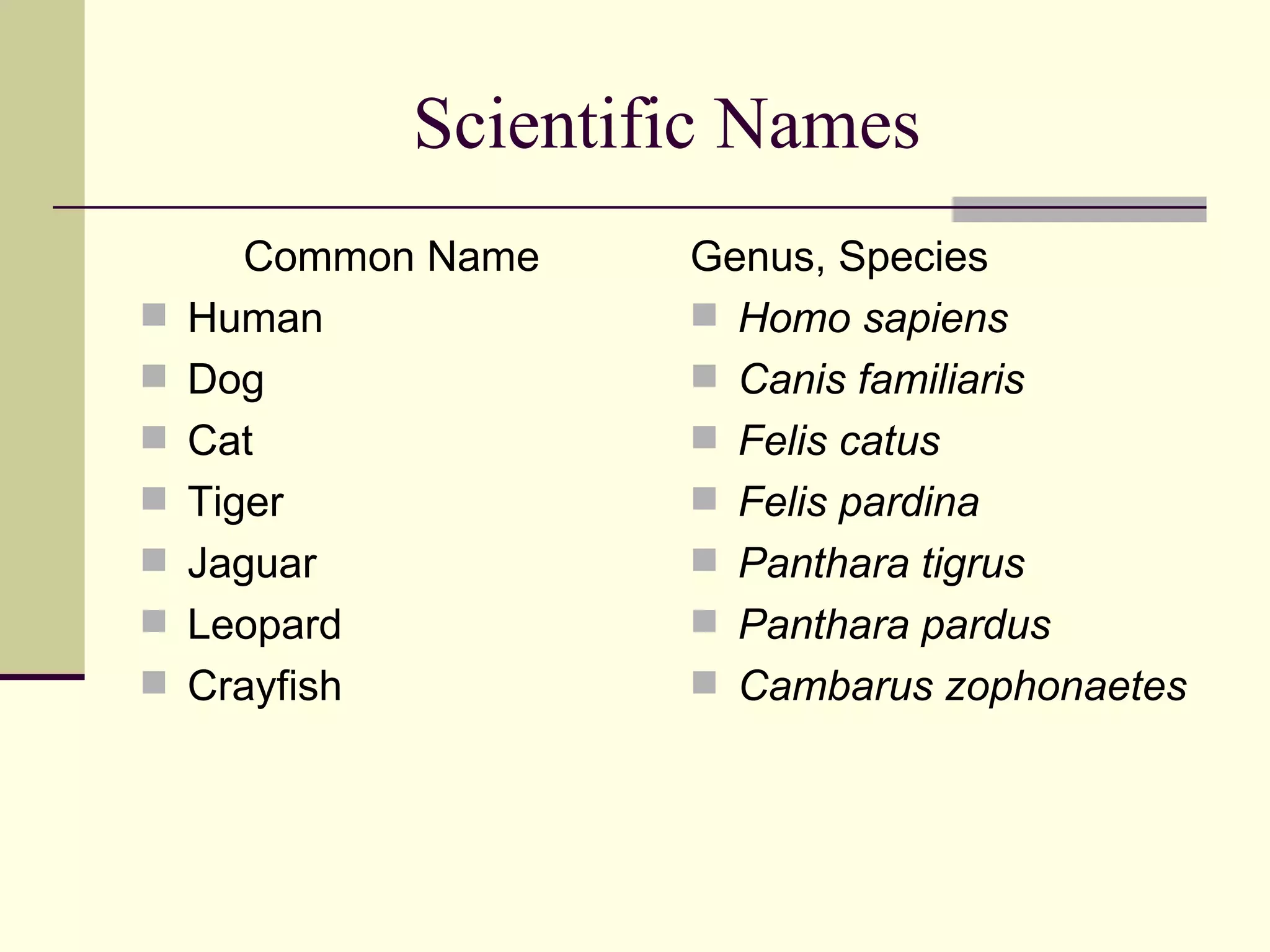 Scientific Names Common Name Human Dog Cat Tiger Jaguar Leopard Crayfish Genus, Species  Homo sapiens Canis familiaris Felis catus Felis pardina Panthara tigrus Panthara pardus Cambarus zophonaetes 
