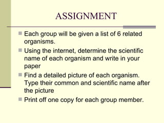 ASSIGNMENT Each group will be given a list of 6 related organisms. Using the internet, determine the scientific name of each organism and write in your paper Find a detailed picture of each organism.  Type their common and scientific name after the picture Print off one copy for each group member. 